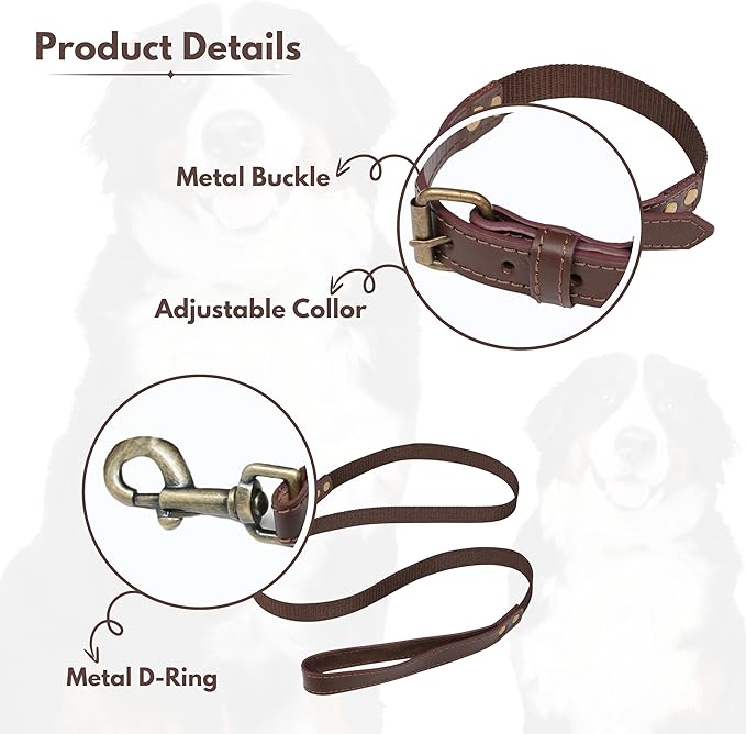 Heavy Duty Dog Collar and Leash Set for Large Dogs - Adjustable 21" Leather Nylon Collar with Durable 50" Leash, Metal Buckle & Handle - Training, Walking, Outdoor Pet Harness Combo for Big Breeds