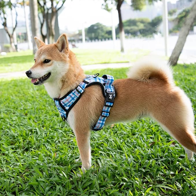 PoyPet No Pull Dog Harness, [Release at Neck] Reflective Adjustable No Choke Pet Vest with Front & Back 2 Leash Attachments (Checkered Blue,S)