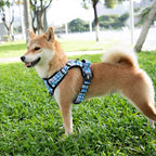 PoyPet No Pull Dog Harness, [Release at Neck] Reflective Adjustable No Choke Pet Vest with Front & Back 2 Leash Attachments (Checkered Blue,S)