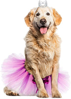 2 Pcs Dog Crown Headband Dog Tutu Dress Set Crystal Rhinestone Tiara Crown Tutu Skirt Pet Dress Costume for Puppy Birthday Party Wedding Photo Prop Costume(Large,Pink Purple)