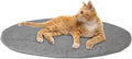Cat Bed Mat Natural Merino Wool Cozy Large Carpet Pad for Pet Cats Kitty Small Dog House Warm Organic Sheep Wool Scratch Floor Mats Rug Bedding (Plain Gray, Large)
