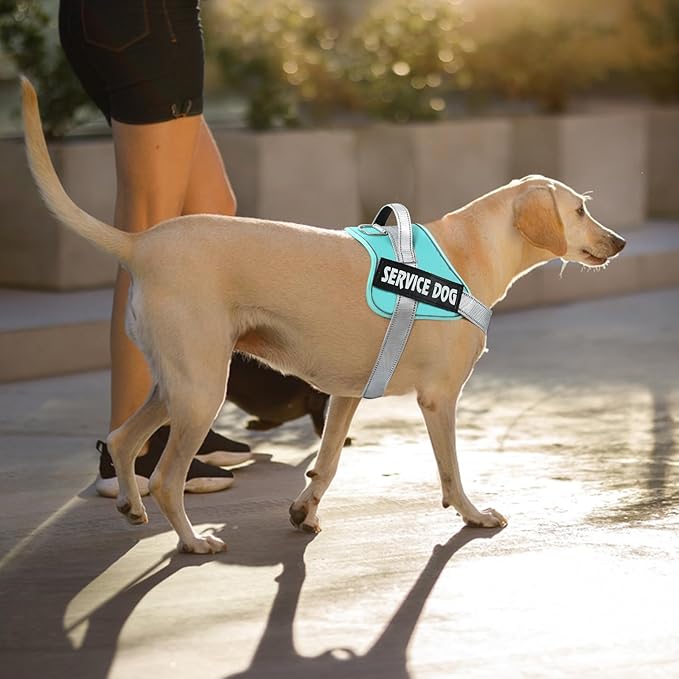 VOOPET Emotional Support Dog Harness, Professional Service Dog Vest for Small to Extra Large Dogs, Reflective, Breathable, Adjustable, No Pull/Choke, ESA Essential Harness