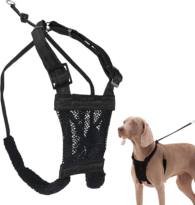 SPORN Non- Pull Mesh Harness, Black, Extra Large