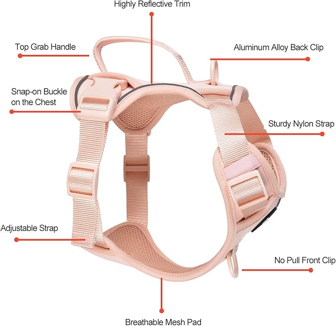 Petmolico Dog Harness for Small Dogs, Cute Harness Vest with Two Leash Clips and Soft Handle, Reflective Easy Walk Puppy Vest - Pink, X-Small