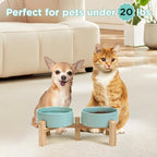 SPUNKYJUNKY Elevated Dog Bowls Ceramic, 5.1'' Dogs and Cat Food Water Bowls Raised with Non-Slip Bamboo Stand for Puppy Small Sized Breed Microwave Dishwasher Safe - 13.5 OZ,Light Green