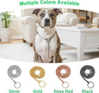 Dog P Snake Chain Chrome Plated Metal Dog Training Choke/Collar-Fully Guaranteed Against Rust Tarnish or Breakage-Recommended for Professional Training (Black, 5mm * 28")