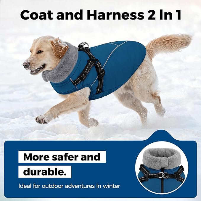 Queenmore Dog Coat,Windproof Dog Coat for Medium Dogs,Dogs Jackets with Harness Built in,Waterproof Doggy Coats with Zipper On Back,Reflective Cold Weather Coats for Dachshund，Boston Terrier,Blue,M