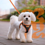 rabbitgoo Dog Harness Small Sized and Leash Set, Step-in Breathable Pet Harness, Soft Walking Reflective Puppy Vest for Small Dogs, Black & Orange, M