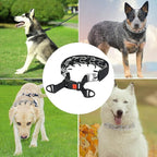 CBBPET Dog Prong Collar, Adjustable Dog Training Collar with Quick Release Buckle for Small Medium Large Dogs