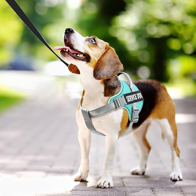 voopet Emotional Support Dog Harness, Professional Service Dog Vest Harness for Small Medium Large Dogs, Reflective Breathable and Adjustable No Pull/Choke ESA Essential Harness