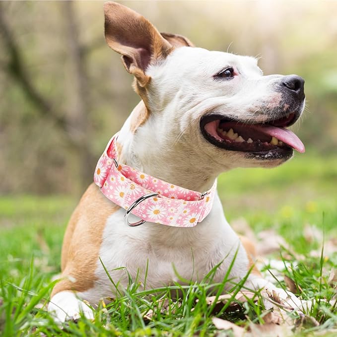 Wide Martingale Collar for Dogs -1.5 Inch Dog Training Collar - Big, & Thick Dog Collar - Escape-Proof, Durable and Comfortable - Pink Daisy L
