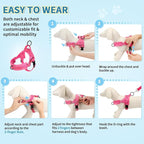 Lukovee No Pull Dog Harness and Leash Set, Soft Padded Small Dog Harness, Neck & Chest Adjustable Reflective Vest Puppy Harness with 4ft Lightweight Anti-Twist Dog Leash for Small Dogs (XS, Pink)