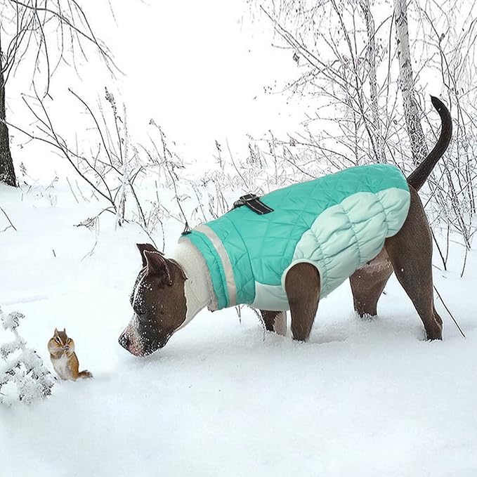 Lelepet Dog Coat Warm Dog Winter Coat Waterproof Dogs Jacket with Harness Built in Reflective Pet Fleece Vest Zip-Up Cold Weather Coats for Small Dogs Turtleneck Windproof Coats Yorkie Mint Green S