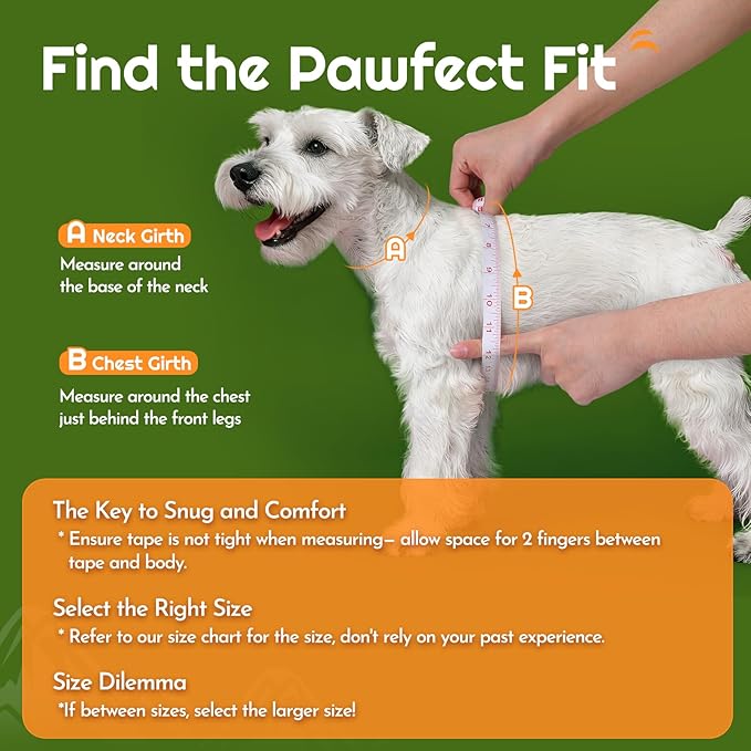 Eagloo Small Dog Harness and Leash Set, Step in Puppy Vest with Breathable Soft Mesh, Walking Reflective Pet Harness for Extra Small Dogs, Green, XXS