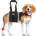 Adjustable Dog Lift Harness, Dog Sling for Large Dogs Hind Leg Support, Soft Lift Support Helps Senior, Injured, Disabled and After ACL Surgery Dogs-Black & Grey (Medium)