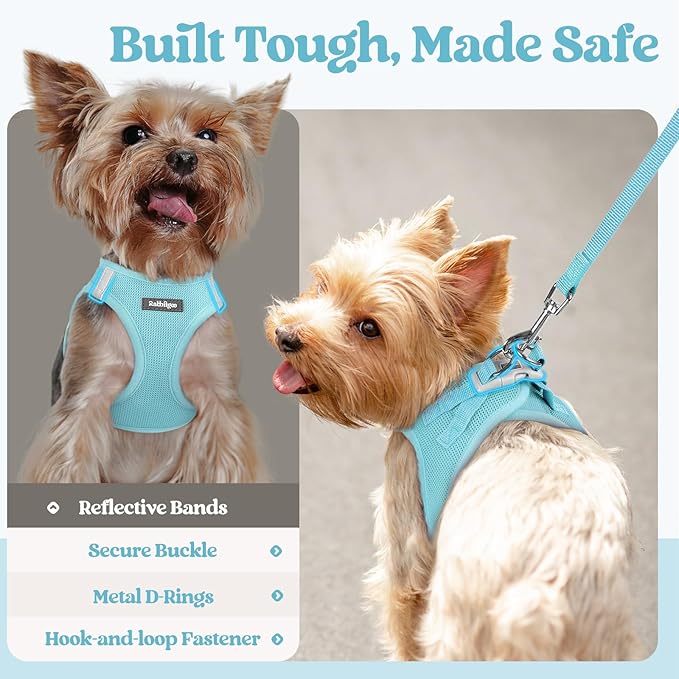 rabbitgoo Dog Harness Medium Sized and Leash Set, Step in Soft Light Puppy Vest, Breathable Mesh Pet Harness, Reflective for Safe Easy Walking, Mint Blue XXL