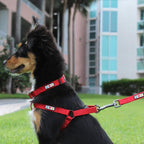 Pawtitas Solid Step-in Dog Harness – Adjustable No-Pull Vest for Puppies to Seniors, Safe & Comfortable XS Red