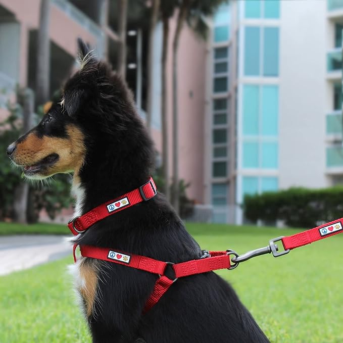 Pawtitas Solid Step-in Dog Harness – Adjustable No-Pull Vest for Puppies to Seniors, Safe & Comfortable XS Red
