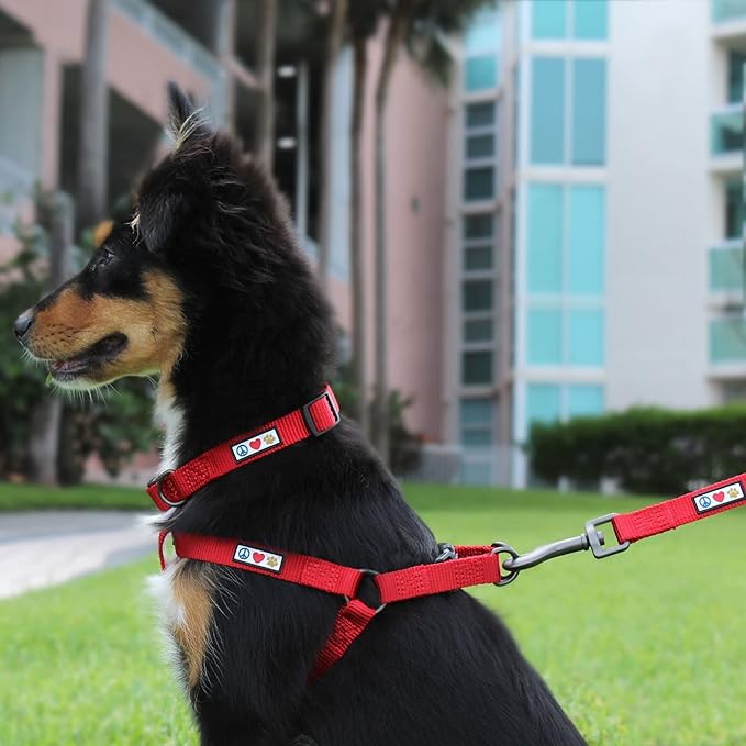 Pawtitas Solid Step-in Dog Harness – Adjustable No-Pull Vest for Puppies to Seniors, Safe & Comfortable M Black