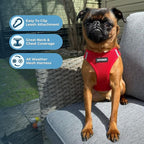 Best Pet Supplies Voyager Step-in Air All Weather Mesh Harness and Reflective Dog 5 ft Leash Combo with Neoprene Handle, for Small, Medium and Large Breed Puppies - Set (Red), XXXS