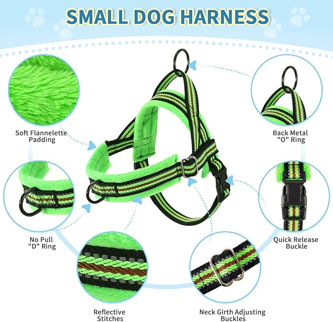 Lukovee Soft Padded Small Dog Harness (X-Small, Green) with 4ft Lightweight Leash, Adjustable Reflective Vest for Walking, Running, Hiking, Training
