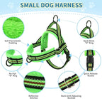 Lukovee Soft Padded Small Dog Harness (X-Small, Green) with 4ft Lightweight Leash, Adjustable Reflective Vest for Walking, Running, Hiking, Training