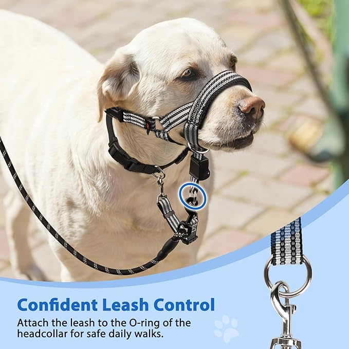 BARKLESS No Pull Dog Head Collar for Gentle Training Walking, Soft Padded Head Halter with Collar Safety Clip, Comfortable Fit Muzzle Leash with Reflective Strap for Medium Large Dog (Grey, M)