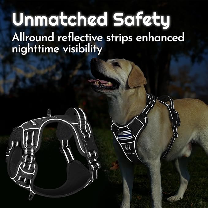 Eagloo Dog Harness Small Sized, Easy Wearing with 3 Buckles, Adjustable No Pull Pet Harness with MOLLE System, No Choke Reflective Vest with Control Handle, Black, S