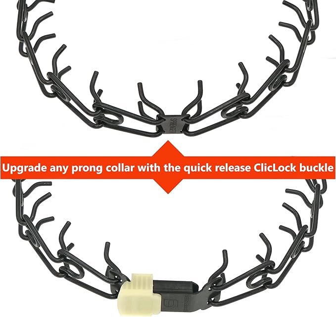 Herm Sprenger Black Stainless Steel ClicLock Buckle Quick Release Fastener with Fluorescent Plastic Jacket for Dog Training Prong Collar Made in Germany (2.25mm, Glow in The Dark Jacket)