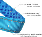 Reflective Slip Dog Collar, Loop Dog Collar with Soft Padded Training -Suitable for Dog Weight 20-38 lbs (5/8" W x 15.5" L, Teal)
