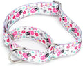Serijoars Adjustable Martingale Dog Collar Heavy Duty Nylon Dog Collar for Medium Large Dogs Walking Training Boy and Girl Dogs (NO8, M)