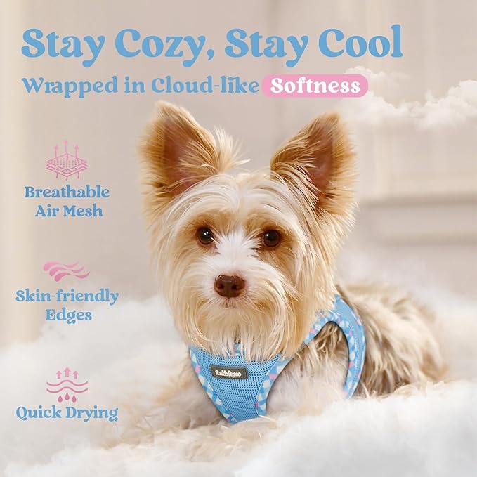 rabbitgoo Small Dog Harness, Step-in Soft Mesh Puppy Vest with Safety Buckle, Breathable Reflective Pet Harness for Extra Small Dogs, Blue & Plaid Trim XXS