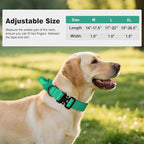 Joytale Tactical Dog Collar for Medium Dogs with Control Handle, Heavy Duty Military Training Collar for Power Breeds, AirTag Holder Case, Quick Release Metal Buckle, Soft Padded, M, Teal