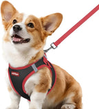 rabbitgoo Dog Harness Small Sized and Leash Set, Step-in Breathable Pet Harness, Soft Walking Reflective Puppy Vest for Small Dogs, Black & Red, L