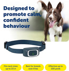 PetSafe 100 Yard Remote Training Collar – Smaller Version for Small or Medium Dogs – Choose from Tone, Vibration, or 15 Levels of Static Stimulation – Short Range Option for Training Off Leash Dogs