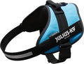 Julius-K9, 16IDC-AM-4, IDC Powerharness, Dog Harness, Size: 4, Aquamarine