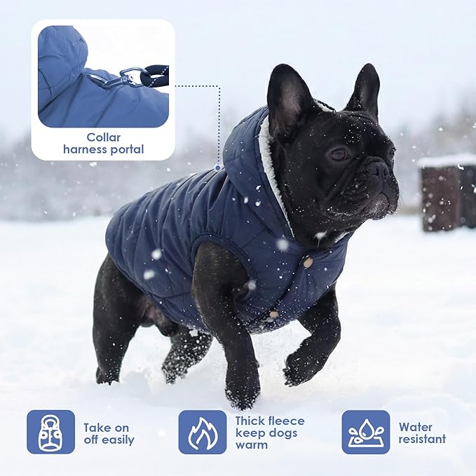 Fleece Hoodie, Windproof Waterproof Coat, Winter Warm Jacket, Cold Weather Pet Apparel Clothes Vest for Small Medium Large Dogs (M, Blue)
