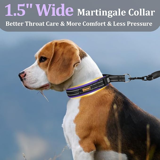 Mayerzon 1.5" Wide Martingale Collar for Large Medium Small Dogs Pitbull German Shepherd, No Pull Reflective Slip Martingale Dog Collar with Buckle Soft Padded for Walking Training(Purple,S)