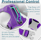 BARKBAY Dog Harness No Pull with ID Tag Pocket - Heavy Duty, Reflective, Easy Control for Large Dogs(Purple,XS)