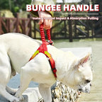PUPTECK No Pull Dog Harness for Large Dogs, Adjustable Reflective Pet Vest Harness with Bungee Handle, Escape Proof No Choke Harness for Large Dogs Walking Training, Red L
