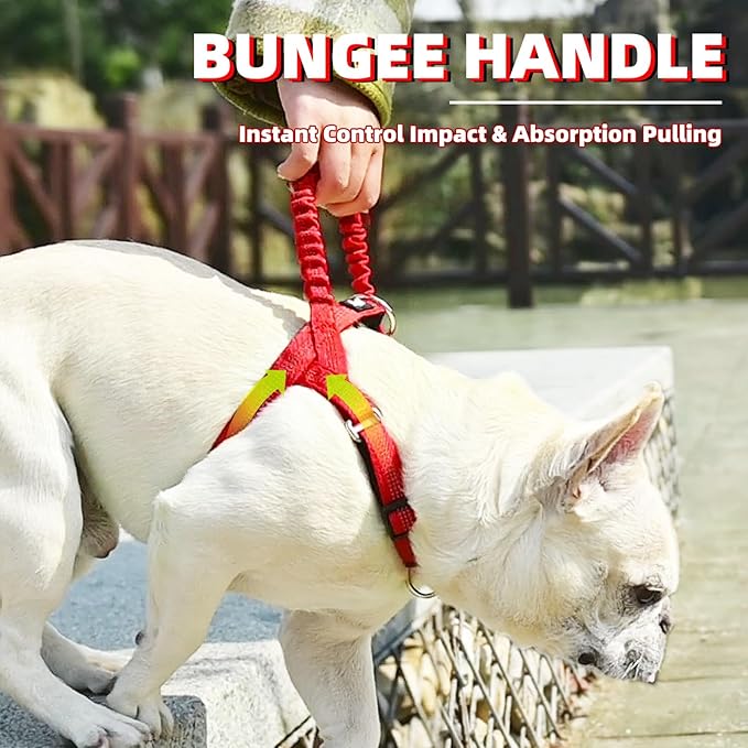 PUPTECK No Pull Dog Harness Small Sized Dog, Adjustable Reflective Pet Vest Harness with Bungee Handle, Escape Proof No Choke Harness for Small Dogs Walking Training, Red XS