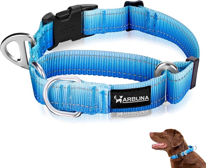 Martingale Collar for Dogs Large Medium Small Heavy Duty Buckle Dog Collar with Tag Ring Reflective Nylon Gradient Dog Collar No Pull Training Collar