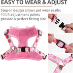 PUPTECK Dog Harness and Leash Set Medium Sized, Step in No Pull Adjustable Puppy Cat Harness Reflective Pet Vest