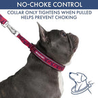 Spark Paws Martingale Dog Collar – Cushioned Slip-On Training Collar, Heavy Duty, Safety-Tested No-Buckle Collar for Medium & Large Dogs - Fuchsia Camo - A