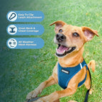 Best Pet Supplies Voyager Step-in Air Harness - All Weather Mesh, Reflective, No Pull Harness for Dogs, Cats - Secure with Hook & Loop Fastener, Buckle, Double D-Rings - Turquoise, XL