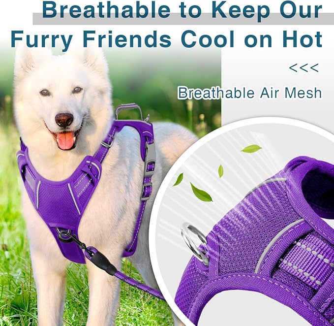 BARKBAY Dog Harness No Pull with ID Tag Pocket - Heavy Duty, Reflective, Easy Control for Large Dogs(Purple,S)