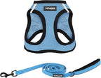 Best Pet Supplies Voyager Step-in Air All Weather Mesh Harness and Reflective Dog 5 ft Leash Combo with Neoprene Handle, for Small, Medium and Large Breed Puppies - Baby Blue/Black Trim, Large