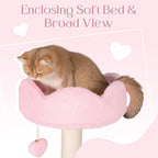 Happy & Polly Cat Tree for Cats, 52.8 Inches, All Breed Sizes, Climbing, Indoor, Wood and Sisal, Floor Mount, Modern