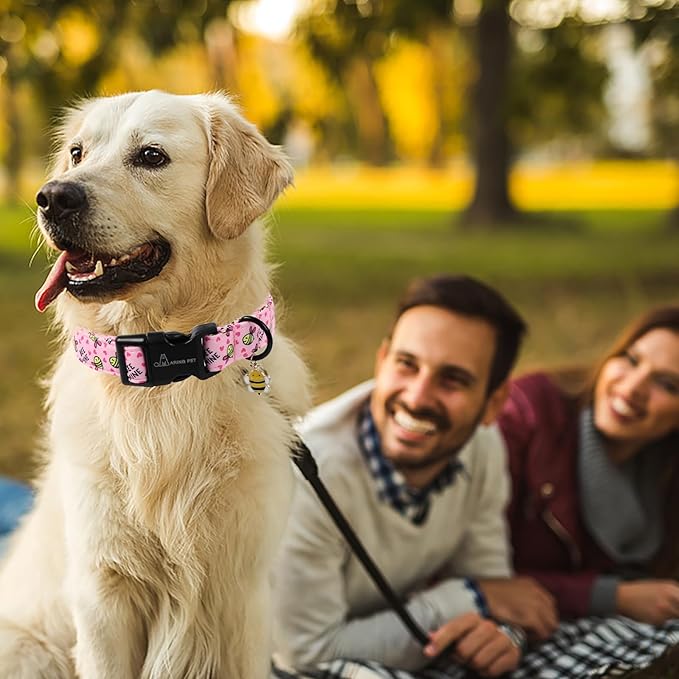 ARING PET Bee Dog Collar, Cute Spring Summer Pink Yellow Honeybees Pet Collars for Puppy Small Medium Large Boy Girl Dogs-M