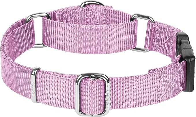 Martingale Collar for Dogs with Quick Release Buckle, Heavy-Duty Solid Color Nylon Training Collars - Adjustable No-Slip Design for Medium & Large Dog